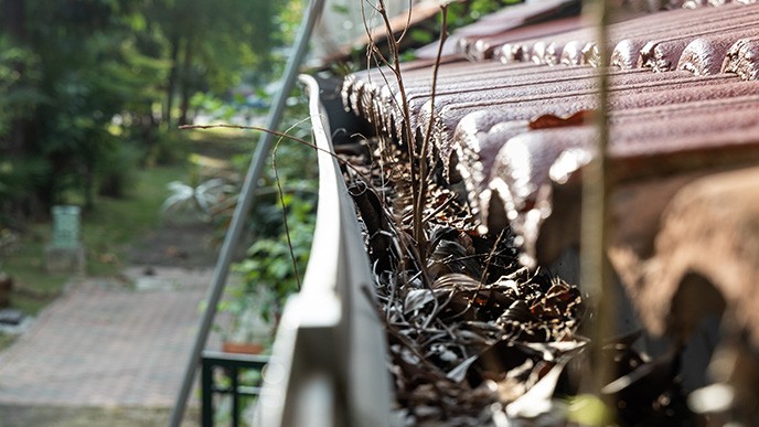 Cómo desatascar canalones obstruidos sin complicarte la vida